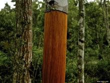 Load image into Gallery viewer, Ceylon Cinnamon